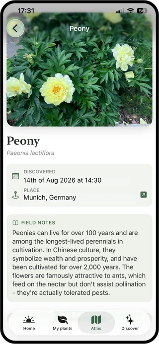 Planterra Plant Atlas