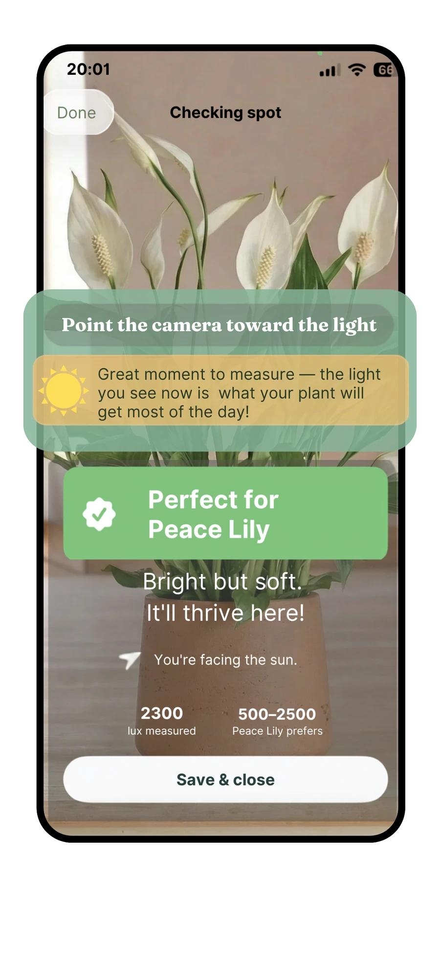 Planterra iPhone light meter reading lux from the camera and recommending a Peace Lily
