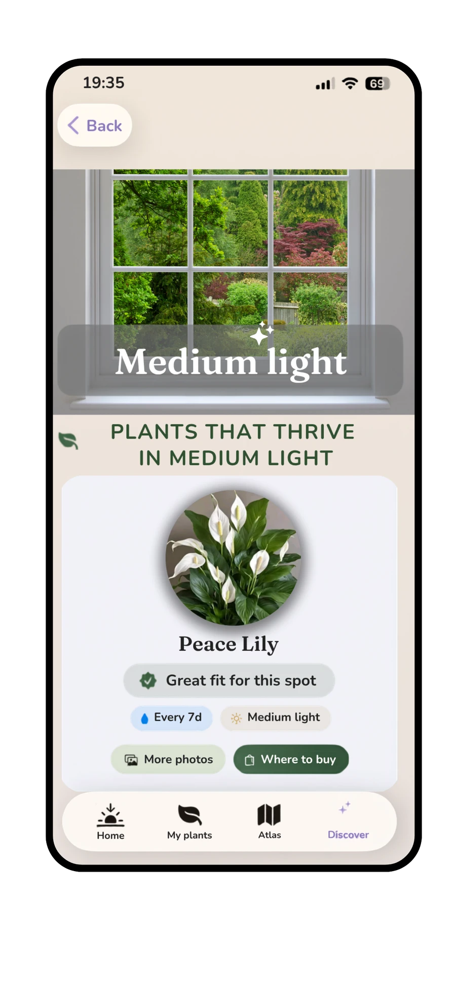 Planterra Discover tab showing plant matches ranked for a specific spot's light level